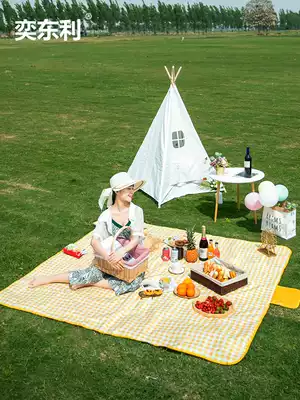 Picnic mat Moisture-proof field mat Outdoor mat waterproof thickened spring outing picnic camping lawn mat Picnic cloth