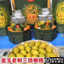 Chaoshan Jinzao old tree authentic Sannian olive fruit old fir three twist olive raw yellow olive fresh Sanling olive 500g