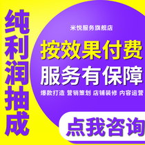 Food and Beverage Taobao Tmall pure commission operation store optimization through train promotion diagnosis online store hosting