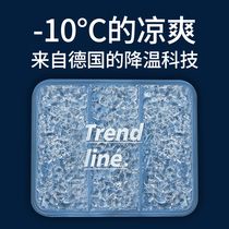 Breathable Car Dormitory Water Bag Mat Summer Cooling Ice Mat Pet Water Cushion Pet Cushion Summer Ice Cold Chair Cushion