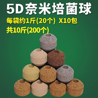 5D Nanopotacus (200 фунтов из 200)