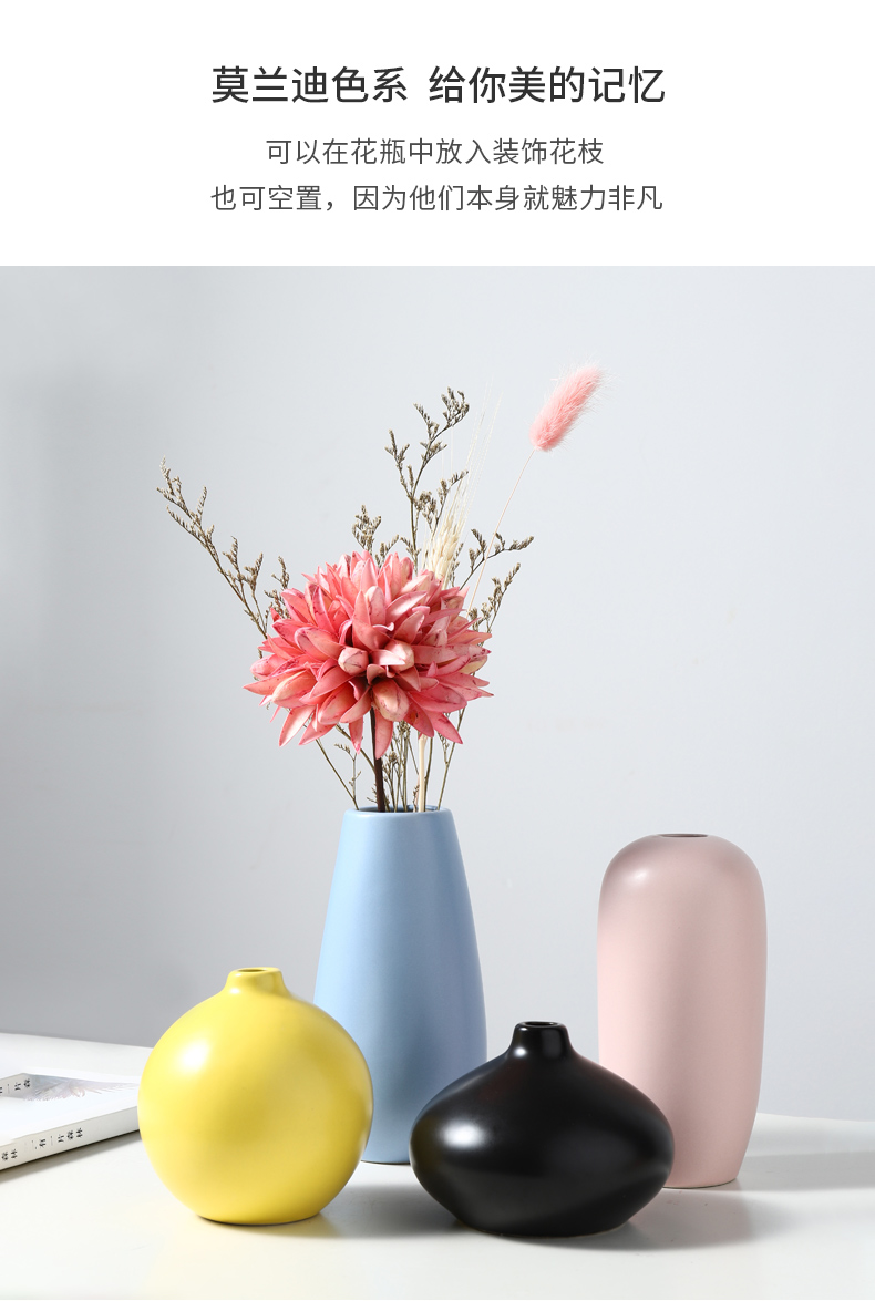 Creative home light key-2 luxury ceramic vase furnishing articles all over the sky star TV ark, dried flowers, flower arrangement table sitting room adornment ornament