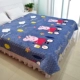 Flannel ga trải giường đơn mảnh dày mùa đông chăn chống trượt sang trọng cộng với nhung trải giường nhung đơn giường đôi - Khăn trải giường