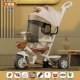 Big Eye Cat Mot.