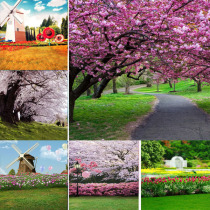 Landscape background cloth oil painting background cloth childrens photo shooting background Net Red live broadcast anchor ancient costume background cloth 12