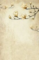 Ancient background cloth Hanfu live broadcast background cloth live broadcast room background wall cloth photography background cloth guzheng live broadcast background