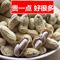 Xinlongyan boiled peanut white sun-dried brine boiled salt dry wet roast 500gx2 bag loose cooked snack nut specialty