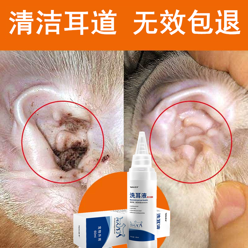 Drop ear fluid pooch with ear lotion ear mite Ear Mite Removal Earwax pet cat with ear cleaning supplies