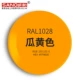 RAL1028 дыня желтая