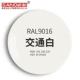RAL9016 транспортно-белый