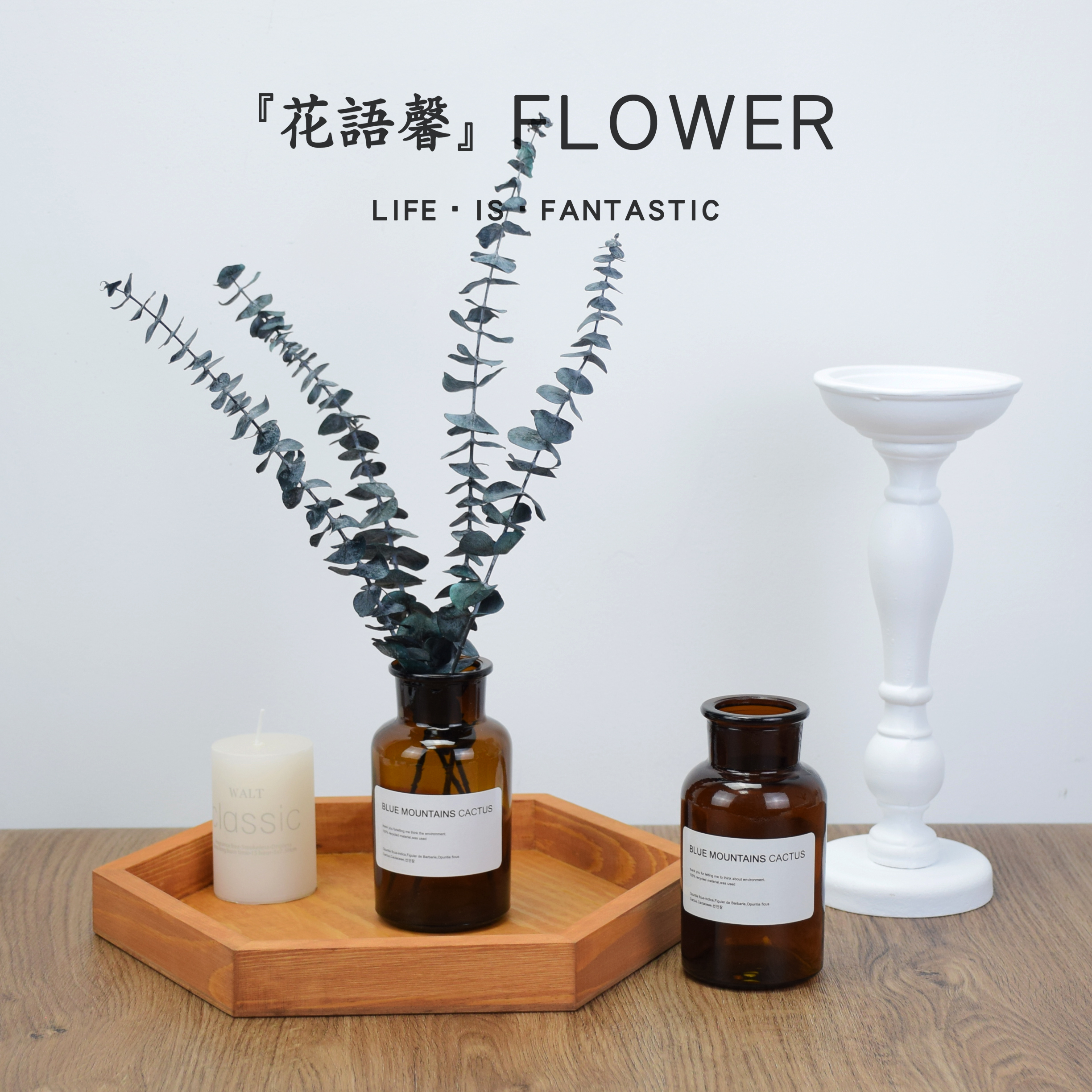 Round leaf Eucalyptus leaf evergreen flower Eternal flower small bouquet Net red bouquet ins dried flower bouquet decoration decoration diy