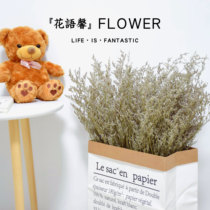 Lover grass dried flower net red flower bouquet ins dried flower decoration decoration living room decoration Kraft paper bag dried flower diy material