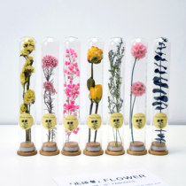 Glass tube dried flowers Starry decoration ornaments Reed Forget-me-not Eucalyptus Tanabata gift eternal flower specimen