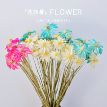 Wen Xinlan dried flower bouquet ins net red air-dried flowers Real flower ornaments diy materials Hibiscus flower living room home furnishings