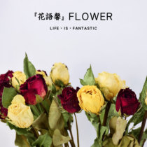 Roses dried flowers real flower ins net red dried flower bouquet Valentines Day air dried bouquet real flower diy material home furnishings