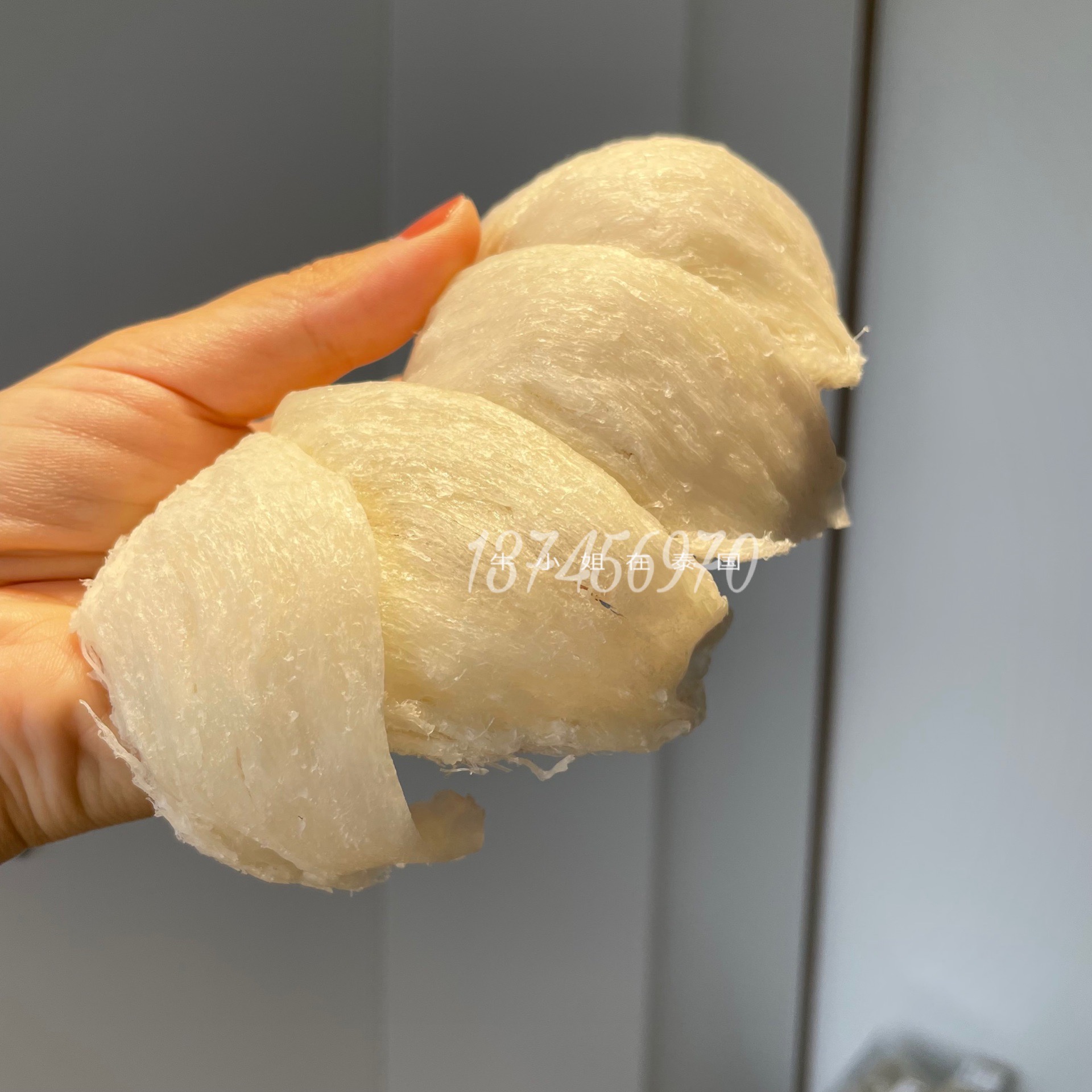 High-quality shopkeepers select thick meat large, super-powder rainy season ace super thick meat