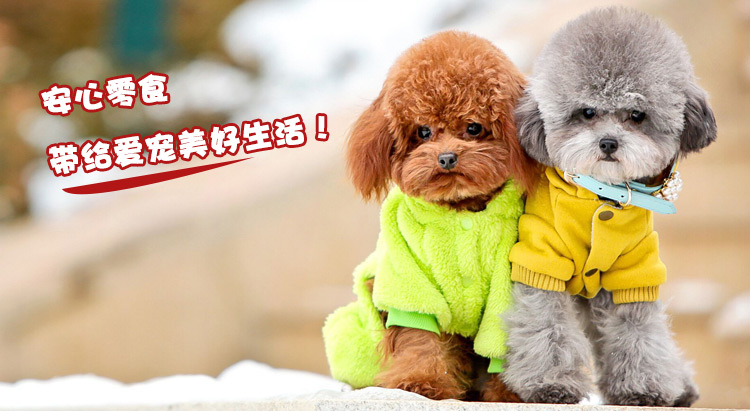 Xúc xích thịt bò Anxin xúc xích gà 60 xúc xích chó giăm bông giăm bông thú cưng - Đồ ăn vặt cho chó thức an cho chó con
