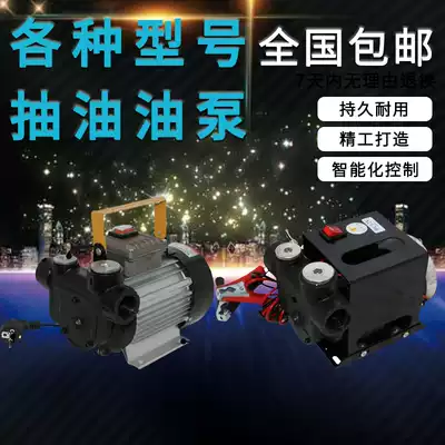 Oil pump diesel gasoline 12V24V220V electric small oil drum self-priming fuel gun car explosion-proof large flow