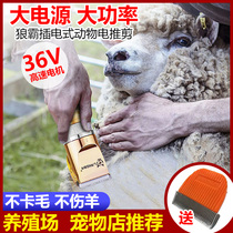 Wolfba corded high-power pet electric clipper 36v shaving electric clipper sheep cashmere goat electric shearing machine