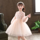 Girls spring clothes 2022 new children's dresses spring and autumn foreign style mesh skirt princess skirt girl skirt spring style