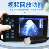 Beast B -uultrasound Machine Sheep Cow с b -ultrasouncound Sow Testing Pigsing Используют портативную ультразвуковую ультразвуковую ультразвуковую беременность