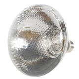 Теплоизоляционная лампа Маленькая куриная свинья Специальная нагревательная платка планка платы Beast Bast Bast