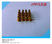 Brass rivets flat head semi-hollow rivets 2*4