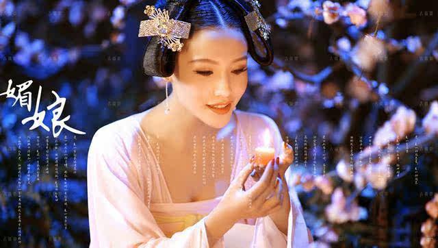 Extension cheveux - Chignon - Ref 248242 Image 17