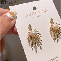 South Koreas new fashion temperament earrings female pearl micro-inlaid drill name Yuanyuan Slightly Luxurious Ear Ornaments