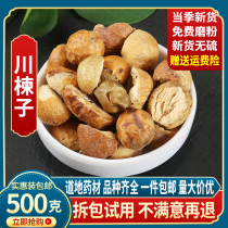 Chuanzi 500g of Jinling Zi Zi Zi Zi Yue Zi Yue Yue Chinese herbal medicine shop