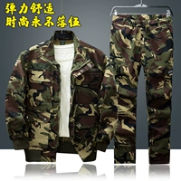 Чистый хлопок [зеленый цветок пять опросов] Упругое набор