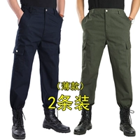 Чистый хлопок [Jun Green+тибетский синий] одиночные брюки (тонкие)