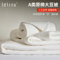 High-end class A maternal and infant antibacterial cotton quilt Four Seasons Universal single double spring and autumn soybean fiber quilt core quilt