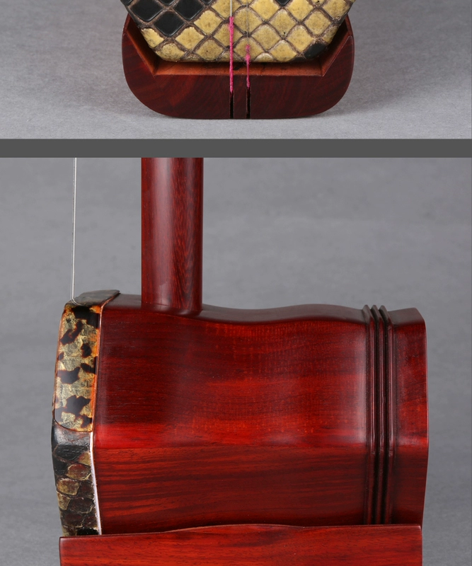 Guoyue Erhu Tờ rơi Rosewood Erhu Chơi Erhu Erhu Nhạc cụ Rosewood Erhu - Nhạc cụ dân tộc