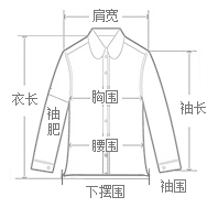 上装 外套