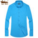 Gold shield autumn blue shirt men's long-sleeved Korean version of slim business solid color shirt men's inch shirt men's formal bottoming shirt