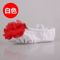 Обычная модель-белая кожаная голова цветок