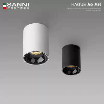 Sunny Ming Downlight led round living room without main light anti-glare black COB spotlight Nordic porch walkway light