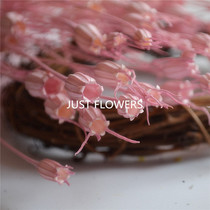 (50510-101) small flower Bellflower everlasting flower material package DIY Japan Land Farm