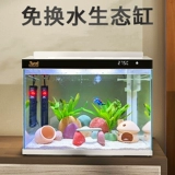 Sensen Jinlin Super White Glass Fish Tanc
