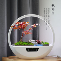 Sensen plant basket micro landscape basket desktop ornaments ecological basket can be planted micro landscape