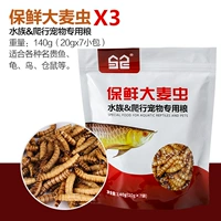 Заблокировка свежей пшеницы 420G подходит для различных средних и крупных рыб