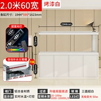 Расширенный ультрабелый модернизированный фильтр с двойным дном шириной 2,0 метра и шириной 60, окрашенный в белый цвет.