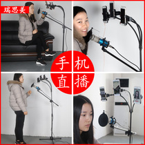 Mobile phone landing bracket ipad bracket tablet computer pad lazy person portable bedside microphone microphone bracket stage metal live broadcast cantilever tripod