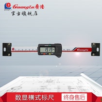 Positioning of 0-100-150-200-300 Horizontal Electronic Digital Display Horizontal Ruler of Guangzhou Machine Tool