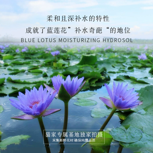 Медный гидролат, увлажняющий влажный спрей, 500 мл