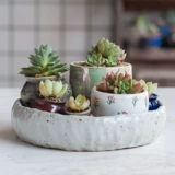 Обычная большая керамическая фруктовая тарелка современная гостиная творческая дом творческий дом