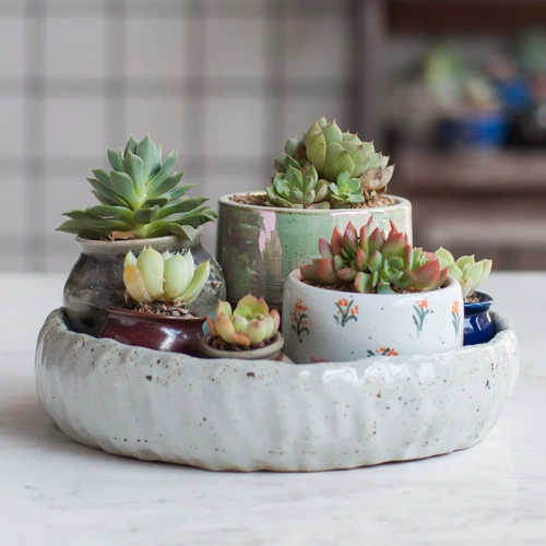 Обычная большая керамическая фруктовая тарелка современная гостиная творческая дом творческий дом