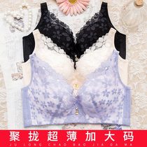 Ultra-thin summer plus size bra without steel ring sexy lace comfortable gathering big breasts show small womens underwear