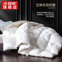 (Clearance)Quilt feather velvet quilt thickened warm quilt core quilt Autumn and winter space quilt single double winter quilt